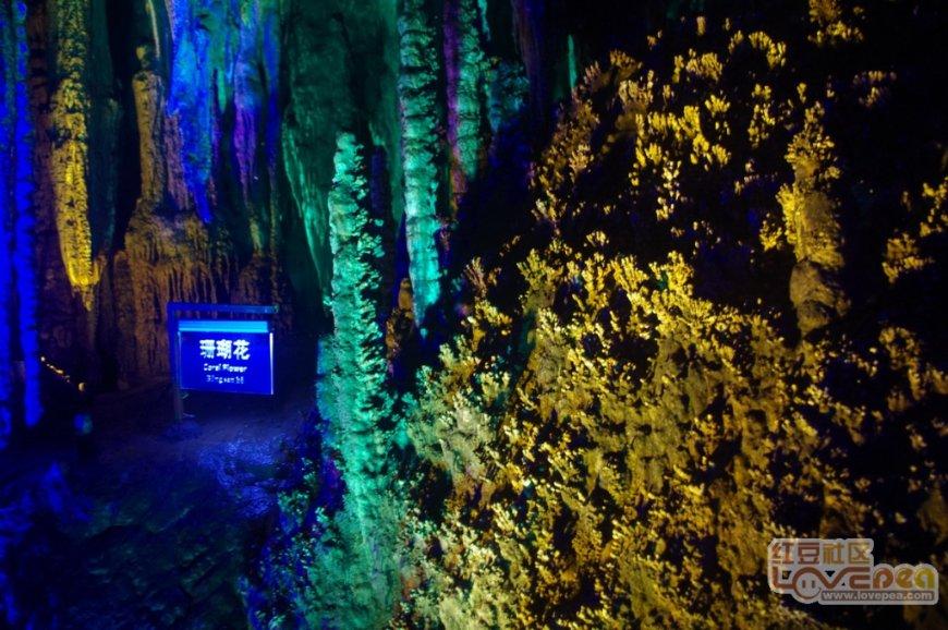 人报甘头条 | 甘肃天祝:严查乡村振兴领域风腐问题处理处分16人