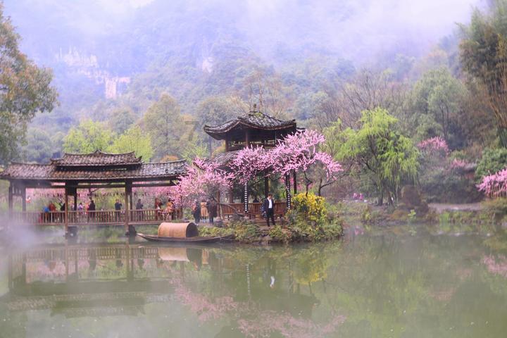 寻找沙漠珍宝