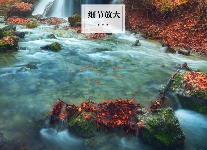 妙鸭相机app下载官网