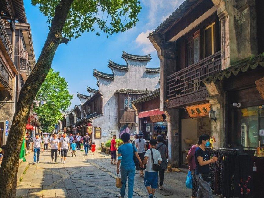 动物帮帮忙保卫家园